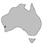 Mapka występowania drosera allantostigma